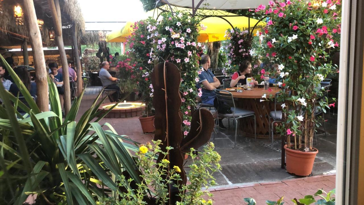 Zys Hotel Wettingen Εξωτερικό φωτογραφία